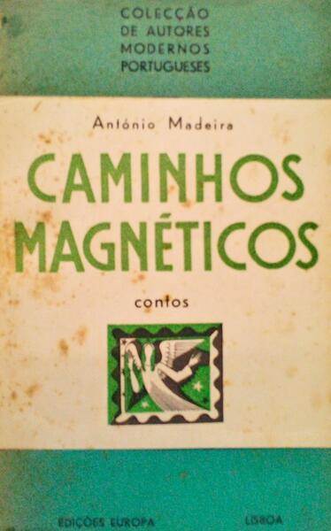 CAMINHOS MAGNÃ‰TICOS.