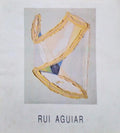 RUI AGUIAR TRABALHOS DE 1988/89.