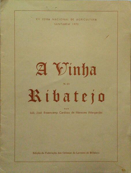 A VINHA NO RIBATEJO.
