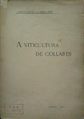 A VITICULTURA DE COLLARES.