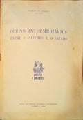 CORPOS INTERMEDIÃ?RIOS ENTRE O INDIVÃ?DUO E O ESTADO.