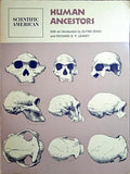 HUMAN ANCESTORS.