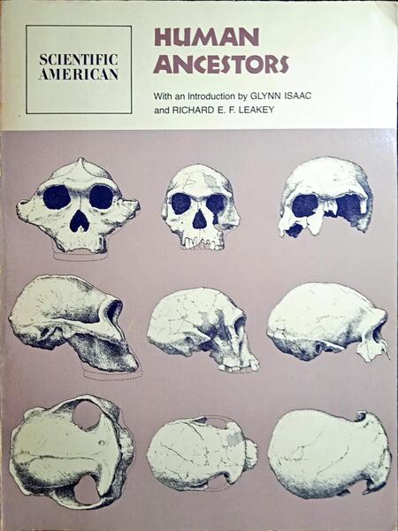 HUMAN ANCESTORS.