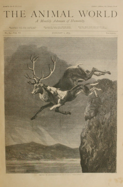 ANIMAL (THE) WORLD, VOLUME 6, 1875.