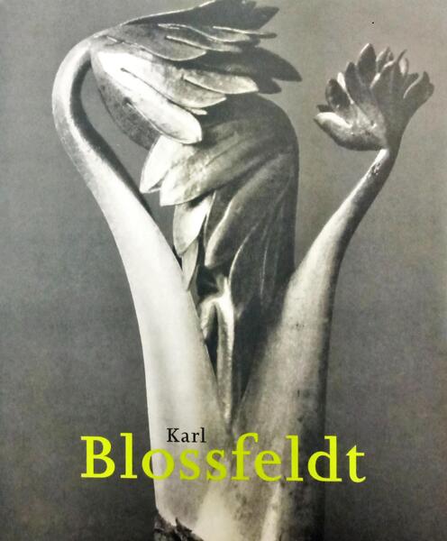 KARL BLOSSFELDT, 1865 - 1932.