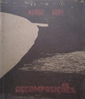 DECOMPOSIÇÕES.