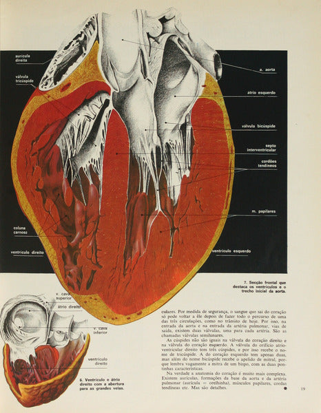 MEDICINA E SAÚDE. [10 VOLS.]