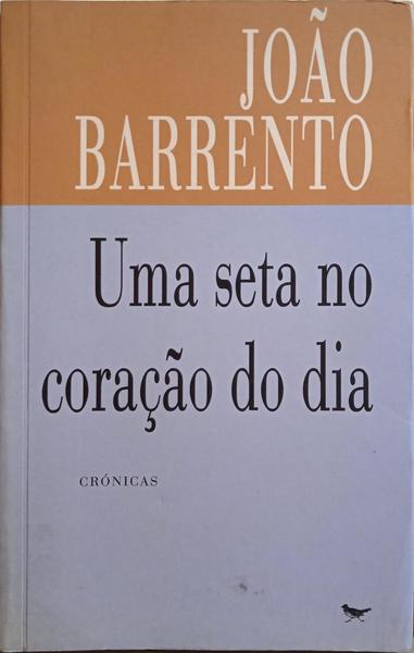 UMA SETA NO CORAÇÃO DO DIA.
