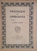 PAYZAGEM DE ORCHIDEAS.