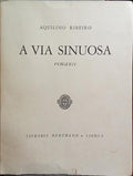 A VIA SINUOSA.