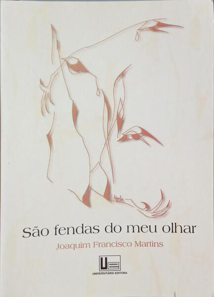 SÃO FENDAS NO MEU OLHAR.