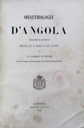 ORNITHOLOGIE Dâ€™ANGOLA.