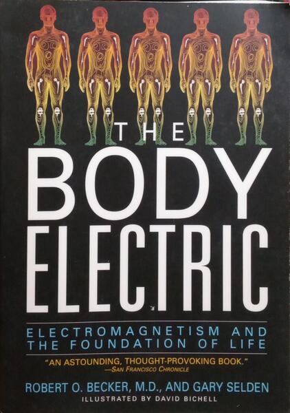 THE BODY ELECTRIC.