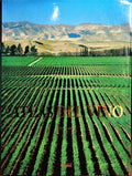 ATLAS DEL VINO: VINOS Y REGIONES VINÍCOLAS DEL MUNDO.