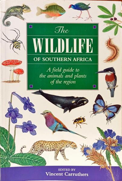 THE WILDLIFE OF SOUTHERN AFRICA.