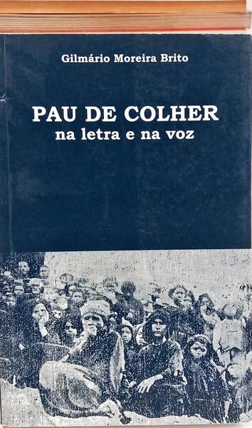 PAU DE COLHER NA LETRA E NA VOZ.