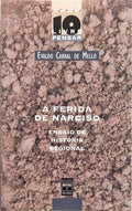 A FERIDA DE NARCISO: ENSAIO DE HISTÓRIA REGIONAL.