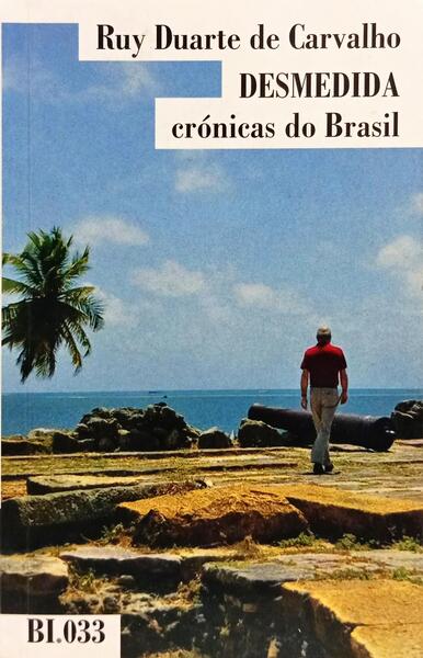DESMEDIDA: LUANDA, SÃO PAULO, SÃO FRANCISCO E VOLTA.