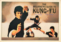 THE BEGINNER'S GUIDE TO KUNG-FU.