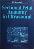 SECTIONAL FETAL ANATOMY IN ULTRASOUND.