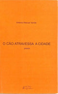 O CÃO ATRAVESSA A CIDADE.