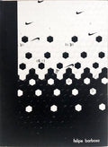 A ESTÉTICA DOMÉSTICA DE FILIPE BARBOSA.