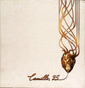 CAMILLO, 25: EMPREENDIMENTO IMOBILIÁRIO.