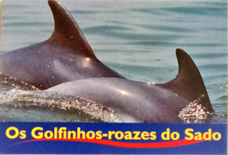 GOLFINHOS-ROAZES (OS) DO SADO. [LIVRO DE POSTAIS]