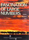 FASCINATION OF LARGE NUMBERS: HERDS, SWARMS AND FLOCKS.