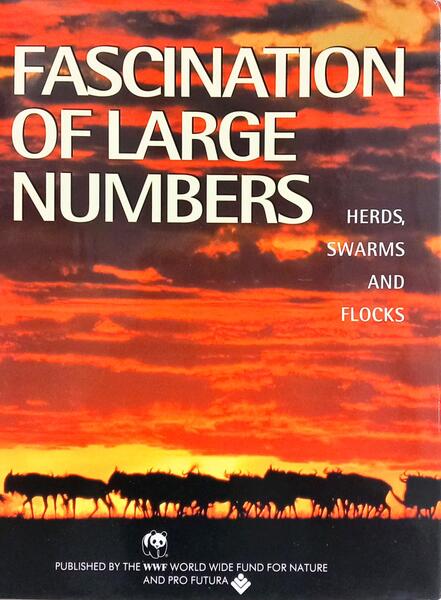 FASCINATION OF LARGE NUMBERS: HERDS, SWARMS AND FLOCKS.