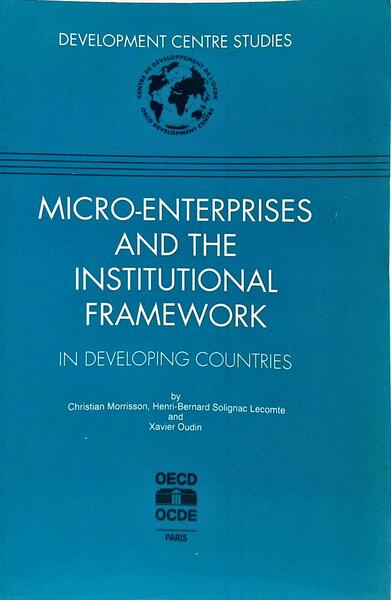 MICRO-ENTERPRISES AND THE INSTITUTIONAL FRAMEWORK IN DEVELOPING COUNTRIES.