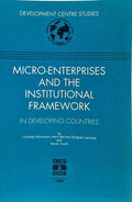 MICRO-ENTERPRISES AND THE INSTITUTIONAL FRAMEWORK IN DEVELOPING COUNTRIES.