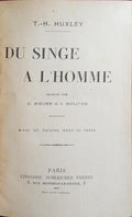 DU SINGE A L'HOMME.
