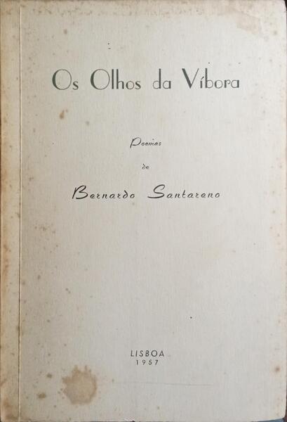OS OLHOS DA VÍBORA.