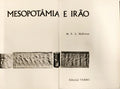 MESOPOTÂMIA E IRÃO.