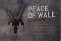 PEACE OF WALL: STREET ART FROM EAST TIMOR.