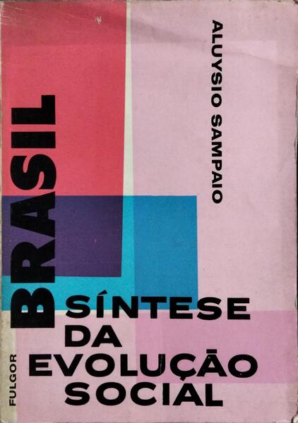 BRASIL, SÍNTESE DA EVOLUÇÃO SOCIAL.