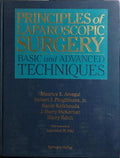PRINCIPLES OF LAPAROSCOPIC SURGERY.