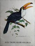 AVES TROPICAIS BRASILEIRAS. [12 GRAVURAS]