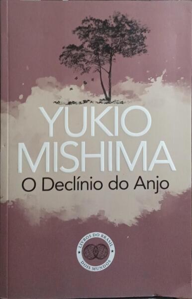 O DECLÍNIO DO ANJO.