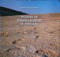 PEGADAS DE DINOSSÁURIOS DE PORTUGAL.