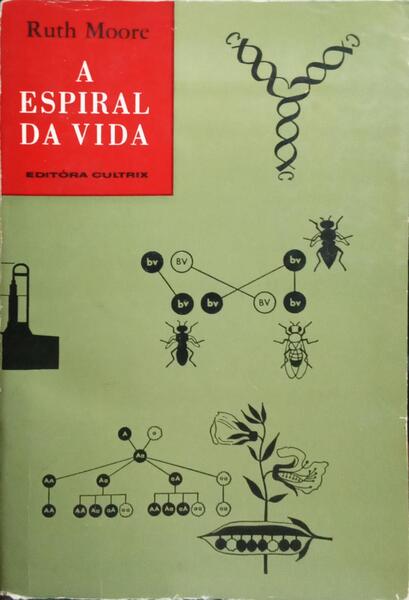 A ESPIRAL DA VIDA.