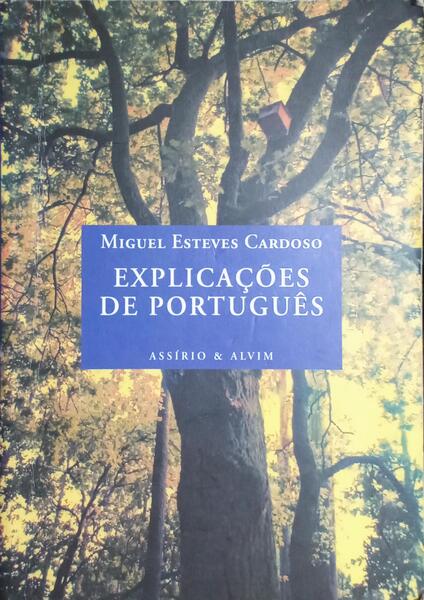 EXPLICAÇÕES DE PORTUGUÊS.