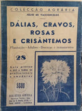 DÁLIAS, CRAVOS, ROSAS E CRISÂNTEMOS.