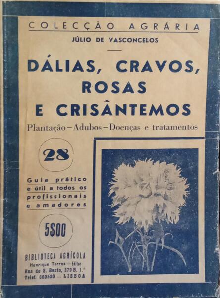 DÁLIAS, CRAVOS, ROSAS E CRISÂNTEMOS.