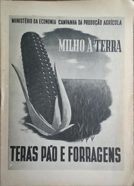 NOÇÕES ELEMENTARES SÔBRE A CULTURA DO MILHO.