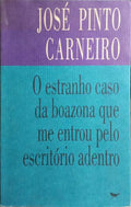 O ESTRANHO CASO DA BOAZONA QUE ME ENTROU PELO ESCRITÓRIO ADENTRO.