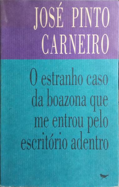 O ESTRANHO CASO DA BOAZONA QUE ME ENTROU PELO ESCRITÓRIO ADENTRO.