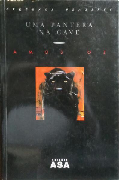 UMA PANTERA NA CAVE.
