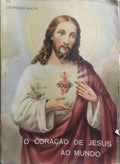 O CORAÇÃO DE JESUS AO MUNDO DOS ESCRITOS DE SÓROR M. CONSOLATA BETRONE RELIGIOSA CAPUCHINHA.